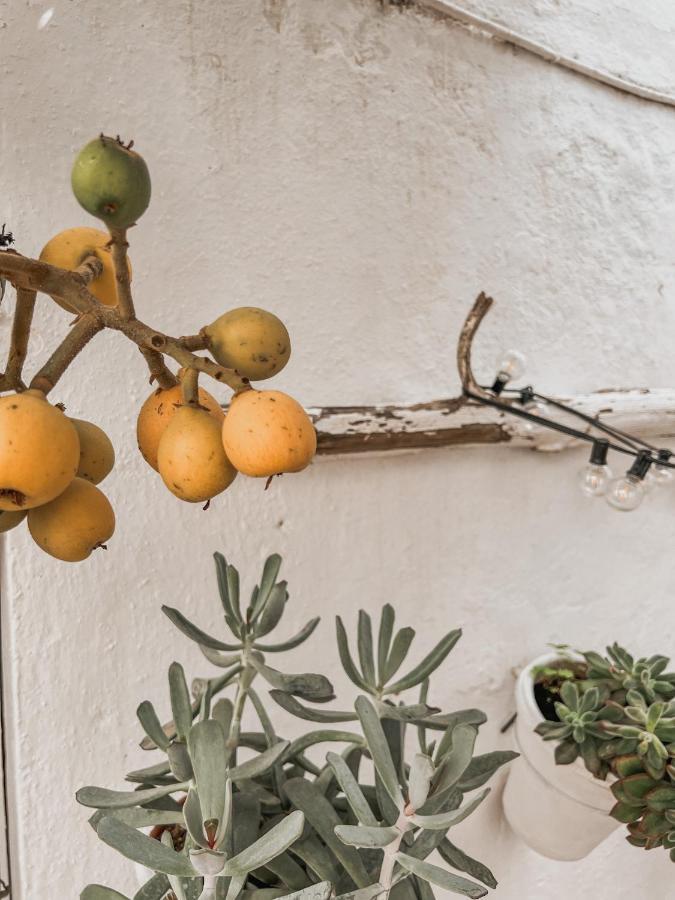 Apartamento C-Alma En El Corazon De Vejer Appartement Vejer de la Frontera Buitenkant foto
